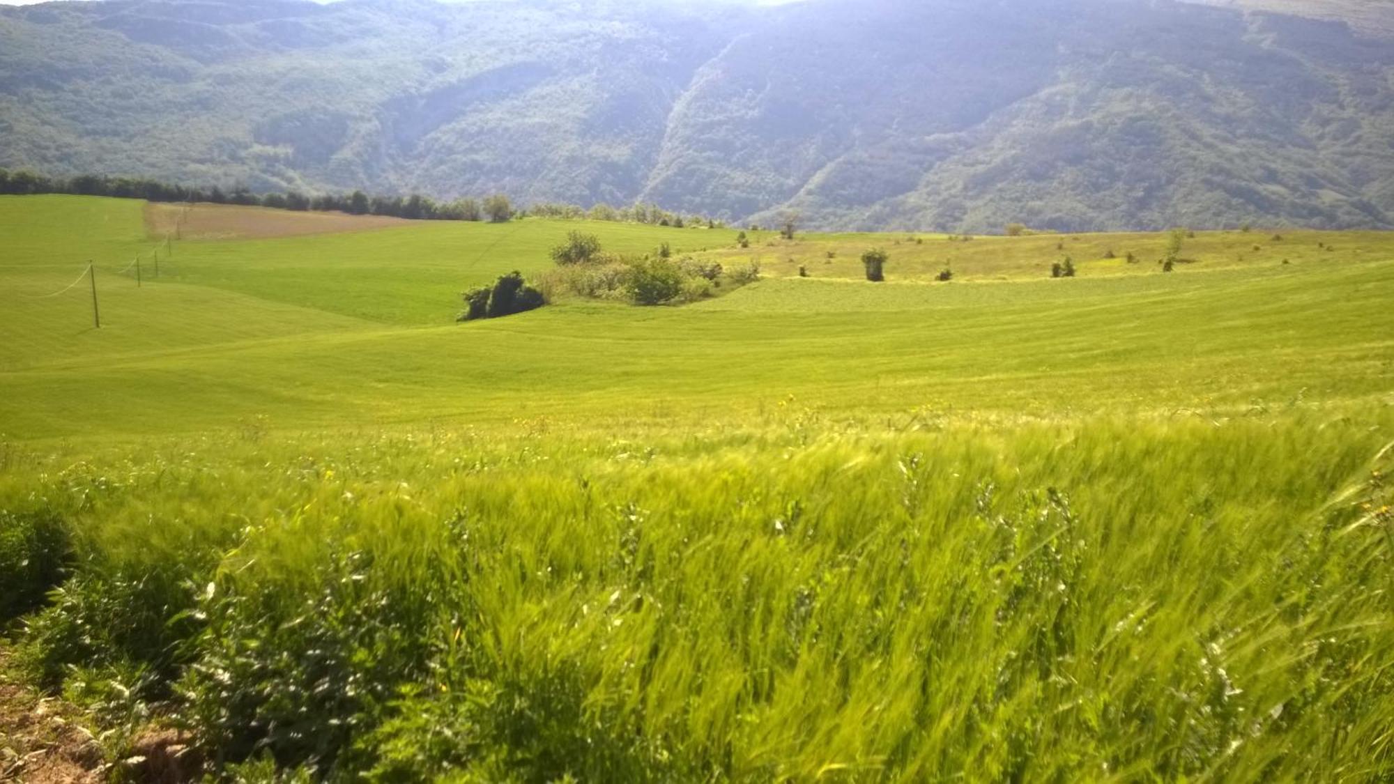 B&B Casale Giovannozzi Ascoli Piceno Exterior foto